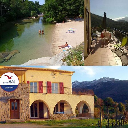 95M2 Au Calme A 25Mn Ajaccio, Plages, Linge Inclus Parking Ok Ucciani Buitenkant foto
