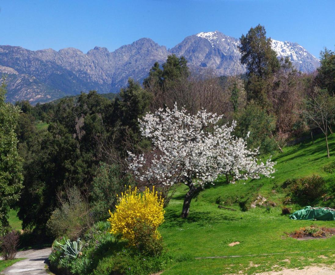 95M2 Au Calme A 25Mn Ajaccio, Plages, Linge Inclus Parking Ok Ucciani Buitenkant foto