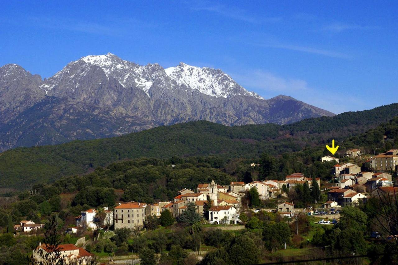 95M2 Au Calme A 25Mn Ajaccio, Plages, Linge Inclus Parking Ok Ucciani Buitenkant foto