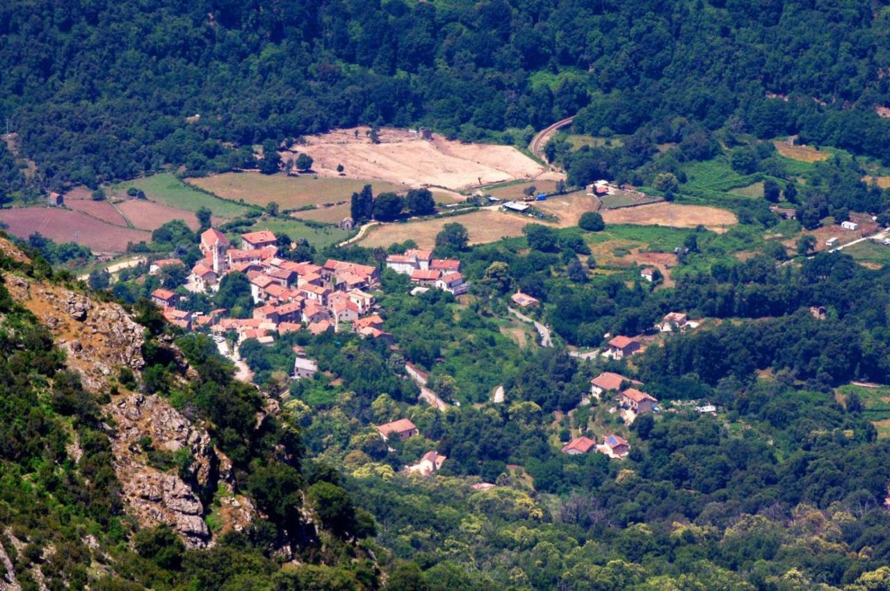 95M2 Au Calme A 25Mn Ajaccio, Plages, Linge Inclus Parking Ok Ucciani Buitenkant foto