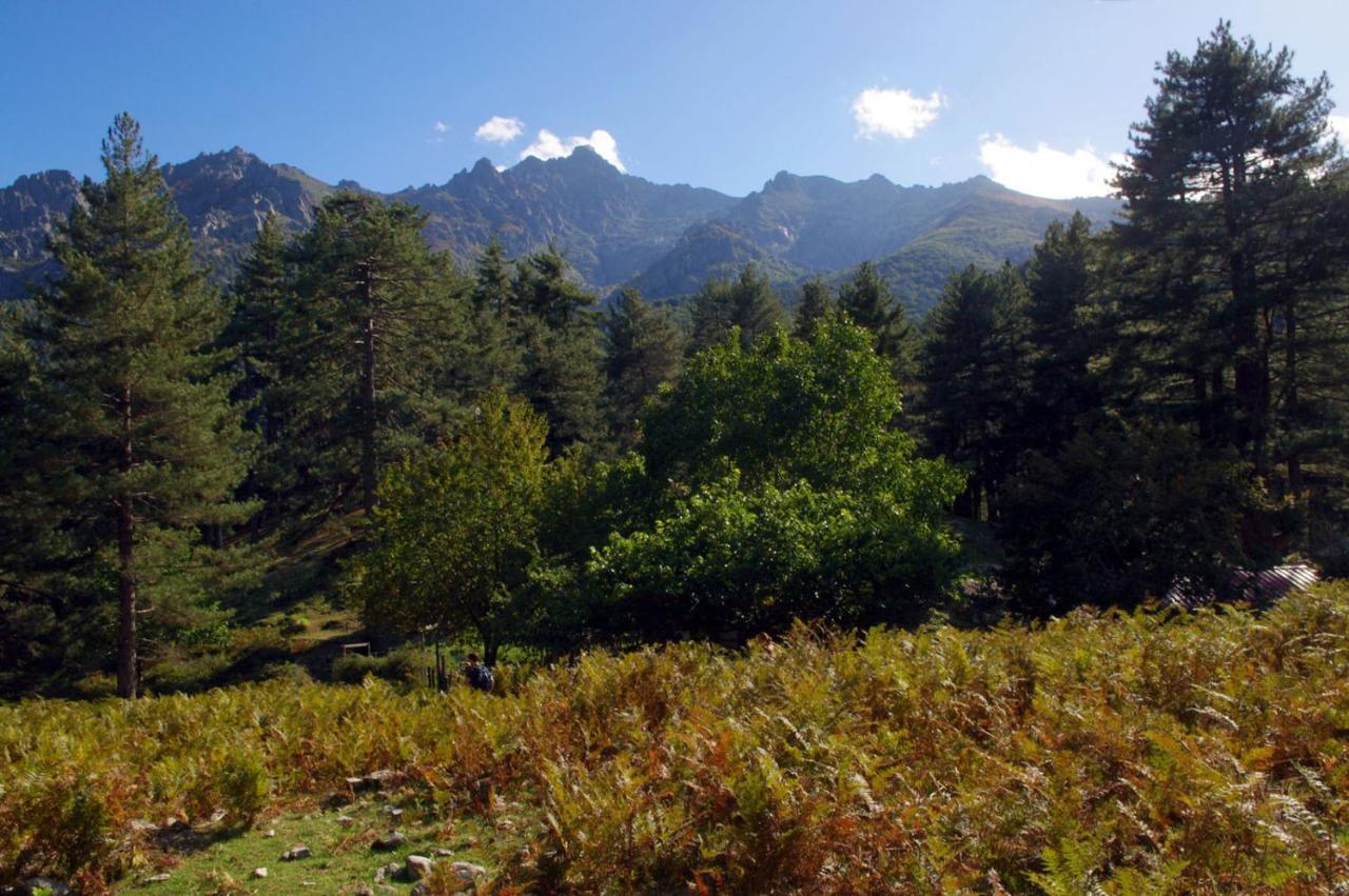 95M2 Au Calme A 25Mn Ajaccio, Plages, Linge Inclus Parking Ok Ucciani Buitenkant foto