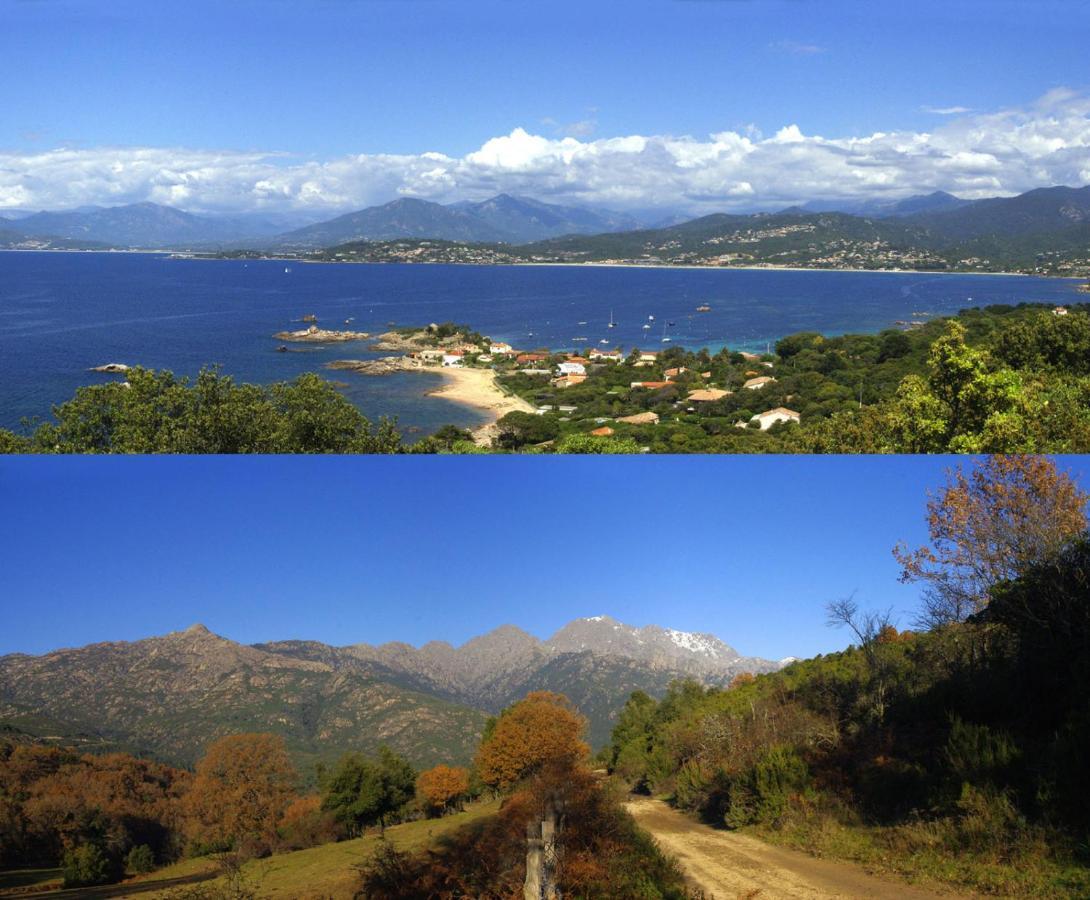 95M2 Au Calme A 25Mn Ajaccio, Plages, Linge Inclus Parking Ok Ucciani Buitenkant foto