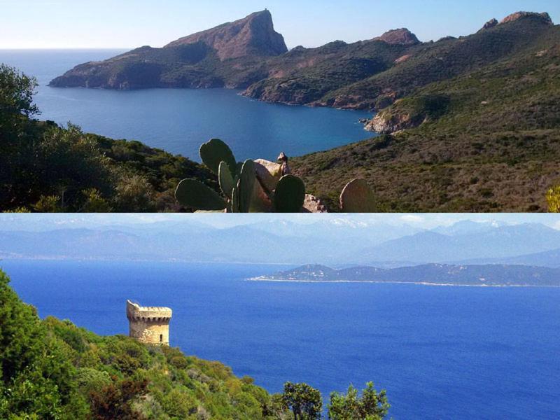 95M2 Au Calme A 25Mn Ajaccio, Plages, Linge Inclus Parking Ok Ucciani Buitenkant foto